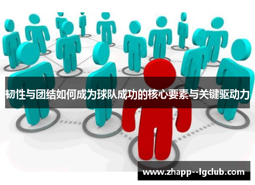韧性与团结如何成为球队成功的核心要素与关键驱动力 韧性与团结如何成为球队成功的核心要素与关键驱动力