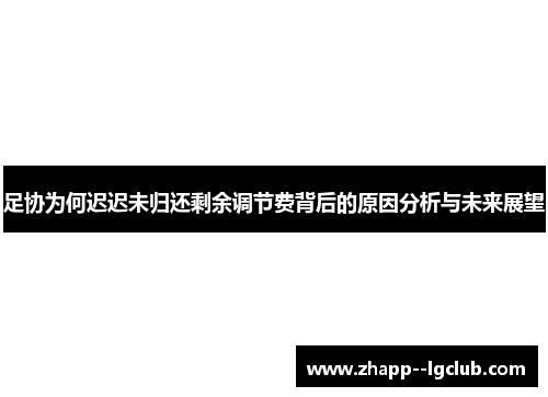 足协为何迟迟未归还剩余调节费背后的原因分析与未来展望 足协为何迟迟未归还剩余调节费背后的原因分析与未来展望